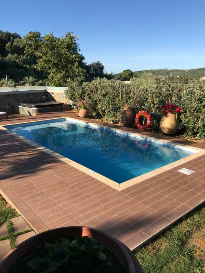 Villa Casa Avocado Тавронитис Экстерьер фото
